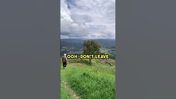 Thumbnail of Songs You'll Really Like Part 119: Real Love Baby - father john misty
