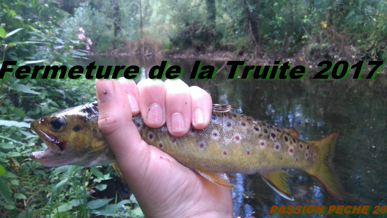 peche truite 29