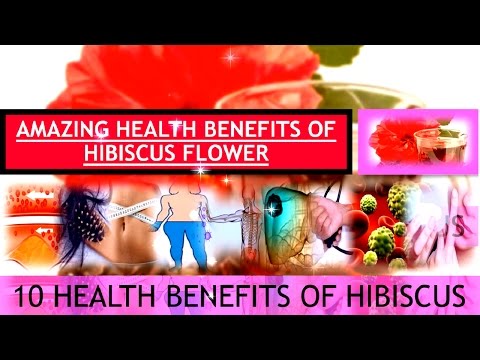 Amazing Health Benefits Of Hibiscus Flower | Hibiscus Health Benefits