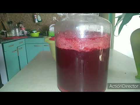 Video: Recept Od Vina Od Maline