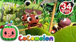 Row, Row, Row Your Boat (Ant Version)   More Nursery Rhymes & Kids Songs - CoComelon