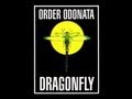 Video thumbnail for Dragonfly Records- Order Odonata  1994 Vol.1