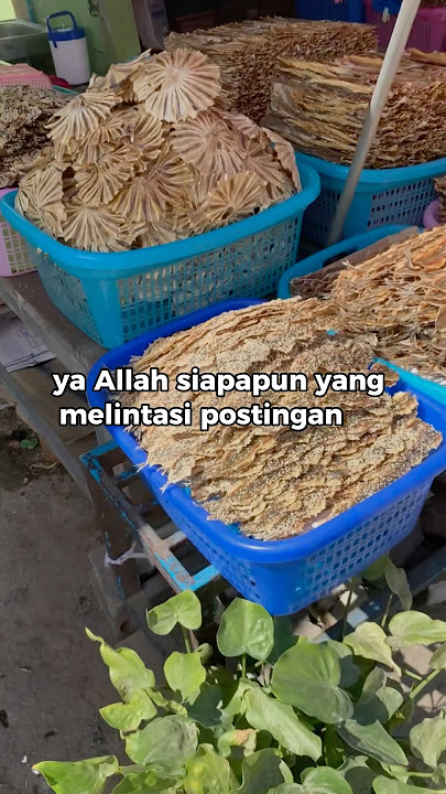 Bismillah Ya Allah #bismillahfyp #motivasi #storywa