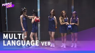 Purple LIVE Multi-Language Busters 버스터즈 - Pinky Promise