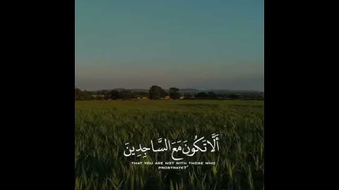 تلاوة قصيرة من سورة الحجر بصوت القارئ / هزاع البلوشي
