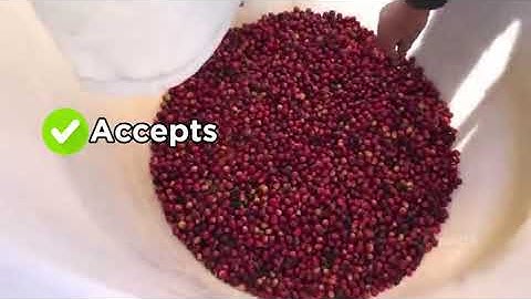 How AI-Powered Sorting Is Transforming Coffee Post-Harvest Operations