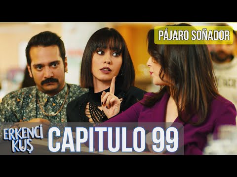 Pájaro soñador -