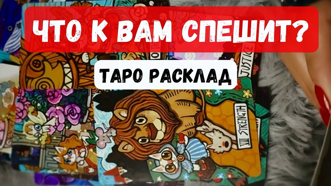 Quag БЕЗПОВОРОТНО ️ ЧТО К ВАМ СПЕШИТ? Таро прогноз - YouTube