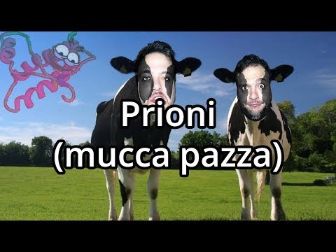 Video: Differenza Tra Prioni E Viroidi