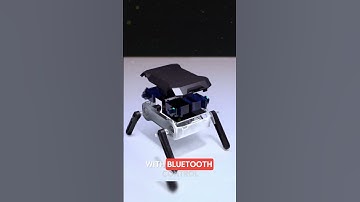 This Tiny Robot Is INSANE