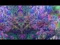 [3 Hours] - Interdimensional Interference - Trippy Fractal Visuals from Beyond - [4K] [60fps]