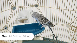 Colorday Large Bird Bath With Clear View For Greys Amazons Conures Cockatiels Parakeet 13x11x8 Inch Pricepulse