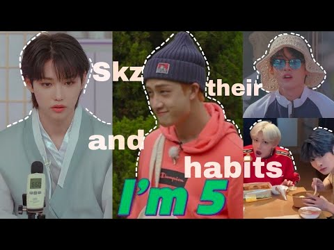 Stray Kids and their stray habits