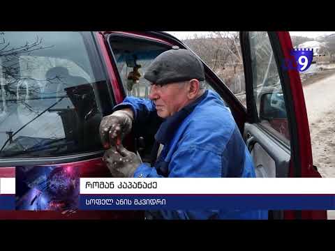 „დაგვპირდნენ გაზს შემოვიყვანთ სოფელშიო, ალბად შემოიყვანენ“- მედეა კაპანაძე სოფლის პრობლემებზე