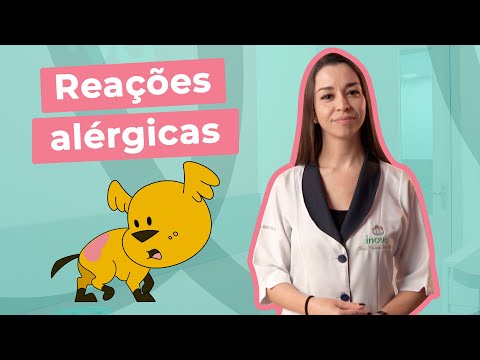 Reações Alérgicas em Pets (Cães e Gatos) | Inova Hospital Veterinário