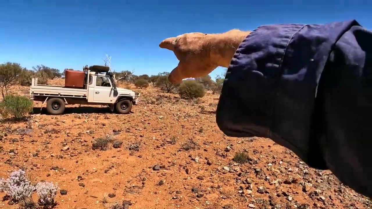 Хард-рок против аллювиальных отложений