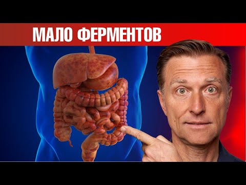 Из-за недостатка этих ферментов у вас проблемы с пищеварением😲