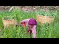Beautiful Village Life in Nepal with Daily Work and Organic Food | Real Rural Lifestyle Documentary