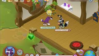 Scamming for black short collar Animal jam