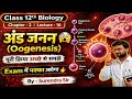 Lec:16 | अंडजनन पूरा समझें 😱 | Gametogenesis | Class 12th Biology | Chapter 2 | #surendrasir