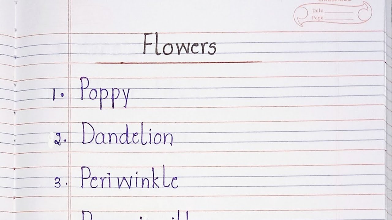 Flowers Flowers Names YouTube