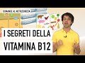 I segreti della vitamina B12