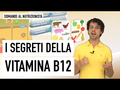 I segreti della vitamina B12