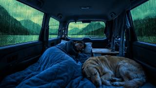 Download Lagu Gezellige regenbui in Auto bij het meer ⛈️ ASMR, warme dekens \u0026 slapend huisdier 🐾 MP3
