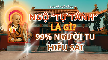 Lục Tổ Huệ Năng Dạy: Chân Lý Ngộ “Tự Tánh” - Tìm Phật Cả Đời Không Bằng Một Lần Ngộ “Tự Tánh.”