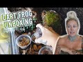 MY DART FROGS CAME EARLY!! Dart Frog Unboxing