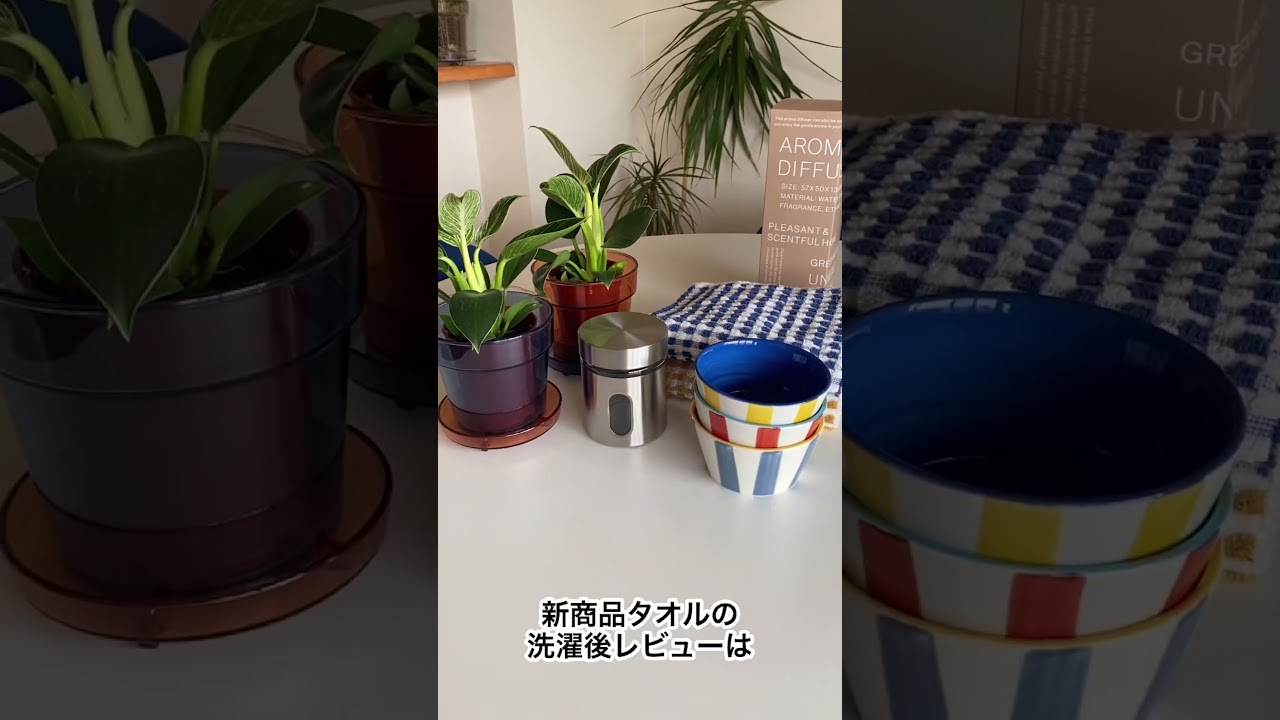 【スタンダードプロダクツ】〇〇するだけ！オシャレカラフルが爆誕✨#スタンダードプロダクツ #standardproducts #スタプロ #新商品 #shorts