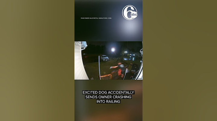Excited dog accidentally sends owner crashing into railing
