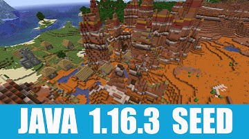 Minecraft Java 1.16.3 Seed: Village near spawn got fully incorporated into an exposed mineshaft