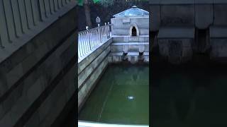 শাহ জালাল (র) মাজারের সোনালি মাছের ইতিহাস জেনেনিন। #vlog #bangla #মাজার_শরীফ #ducomentry #fish