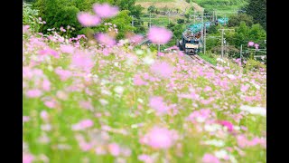 【8872／石油輸送返空】EF64 1022 [愛]＋EF64 1026 [愛]＋タキ43000形17B