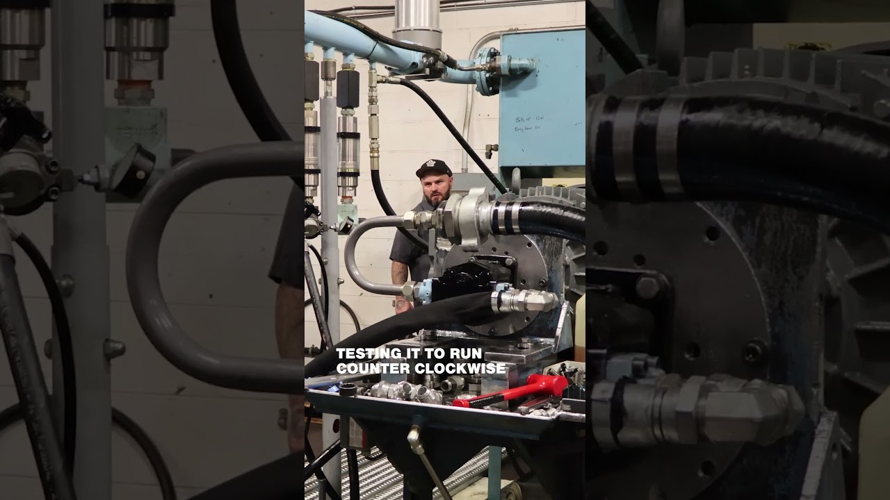 Weird noise in a gear pump