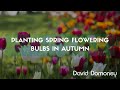 A guide to planting spring flowering bulbs in autumn