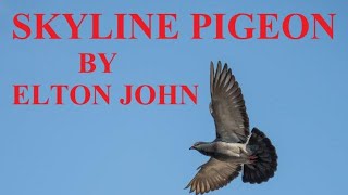 Skyline Pigeon with lyrics by Elton John