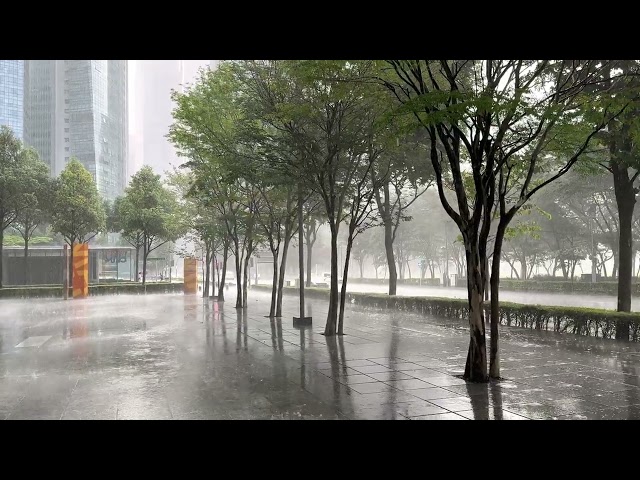 Singapore Rain