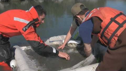 REU: Research on the Olympic Peninsula