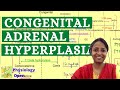 Congenital adrenal hyperplasia | Adrenogenital syndrome | Birth defect disability |  | mbbs lectures