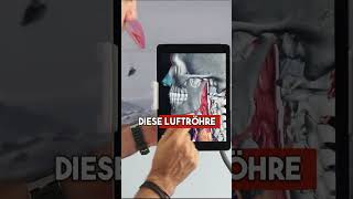 Wie Schnarchen entsteht und was hilft!