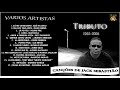 TRIBUTO A JACK SEBATIÃO - " VARIOS ARTISTAS"