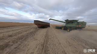 Harvest 2020 In central Saskatchewan FPV