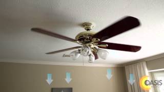 Three things you NEED to know about ceiling fans!-Oasis Energy