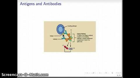 MATH 5880 Mathematical Models with Antigenic Variation Part 1
