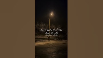 سورة الأحزاب الاية 33 ( القارئ عمر سيلدينسكي) #اكسبلور #ترند #لايك