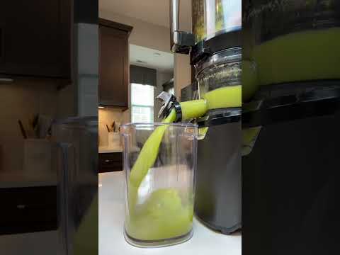 7day Weight Loss Challenge Lose Fat Fast At Home Shorts Weightloss
