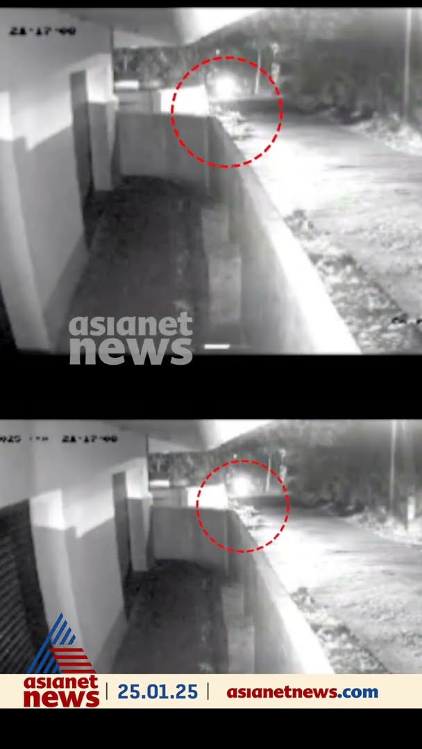 പത്തനാപുരം പിടവൂരിൽ പുലിയിറങ്ങിയെന്ന് ആശങ്ക ; ഭീതിയിൽ ജനങ്ങൾ