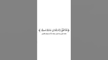 كروما شاشة بيضاء قرآن كريم 🌿تلاوة من سورة الأعراف  🌿القارئ منير رحمه الله 🌿
